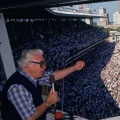 The Ultimate Guide to Sports Events in Chicago, IL